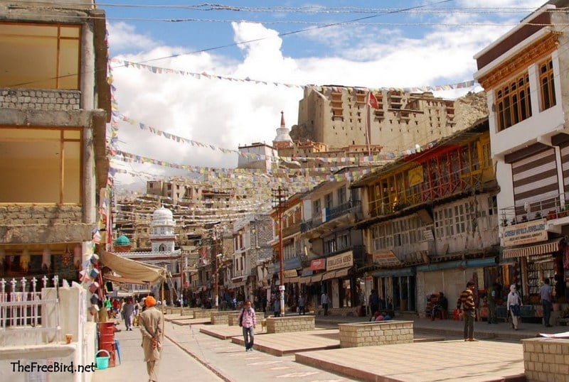 Stok Kangri - Leh palace