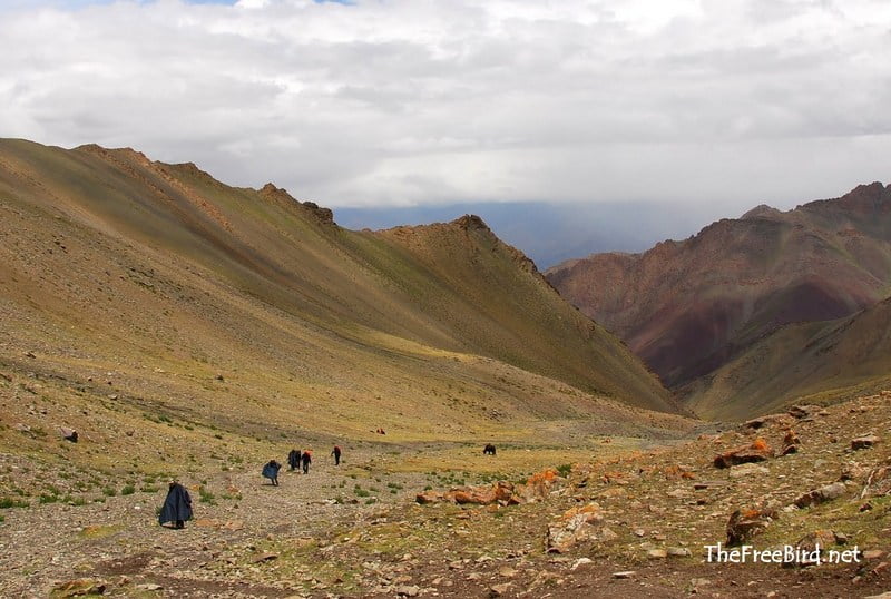 Stok kangri Base camp