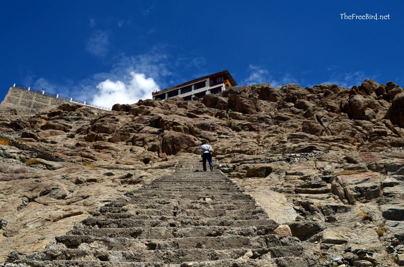 Steps of shanti stupa , leh