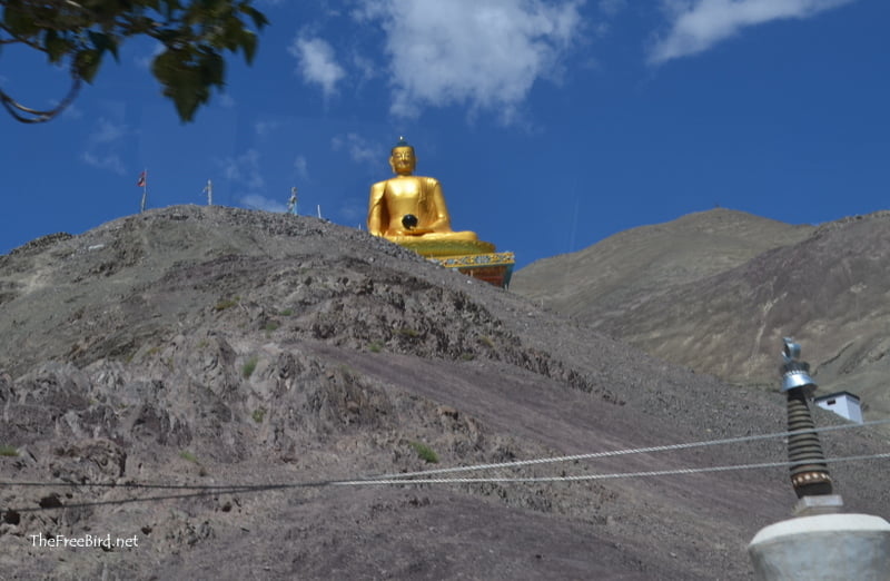 Stok Village Buddha Idol