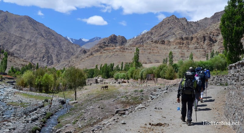 Stok Kangri trek Starts