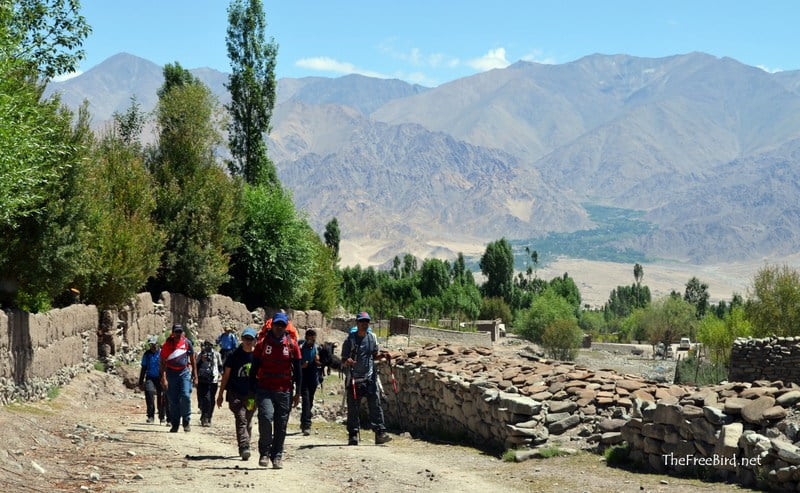 Stok Kangri Enroute