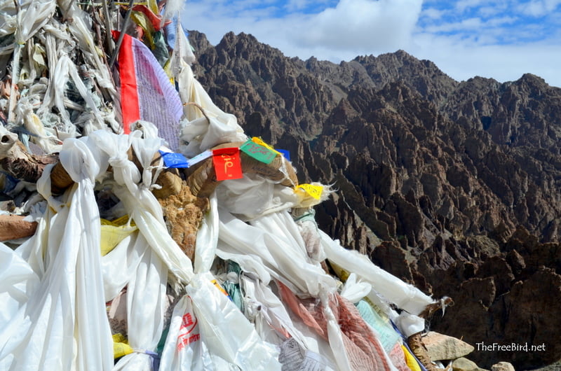 Stok Kangri Expedition: Mountain goat