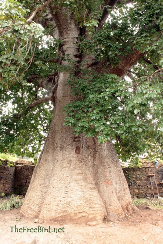 Nana Phadanvis palace