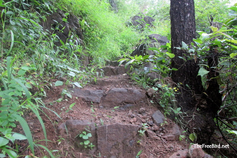 Pandavgad trek