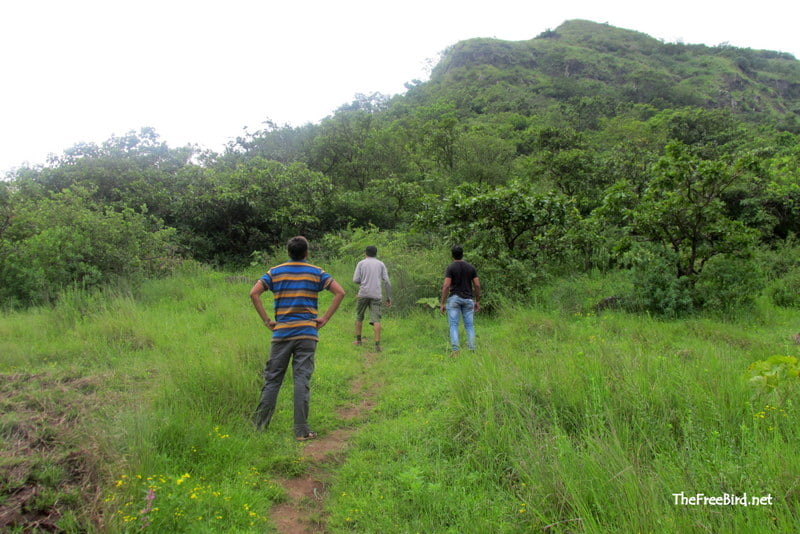 Pandavgad trek