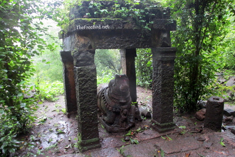 Nandi @ Rajapuri Caves