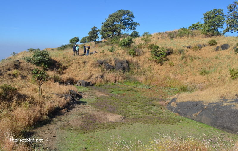 Pond @ Basgad