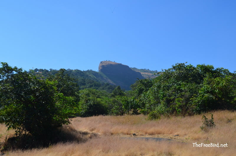 Bhaskargad Trek