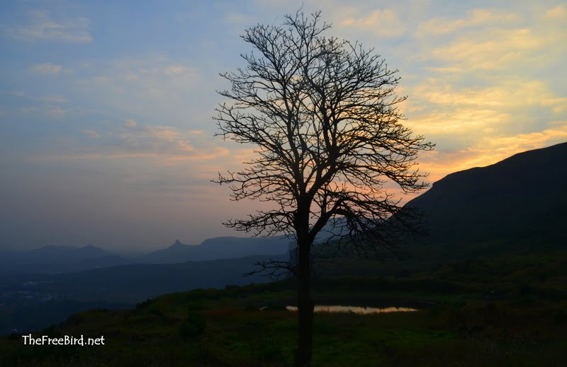 brahmagiri bhandardurg trek blog