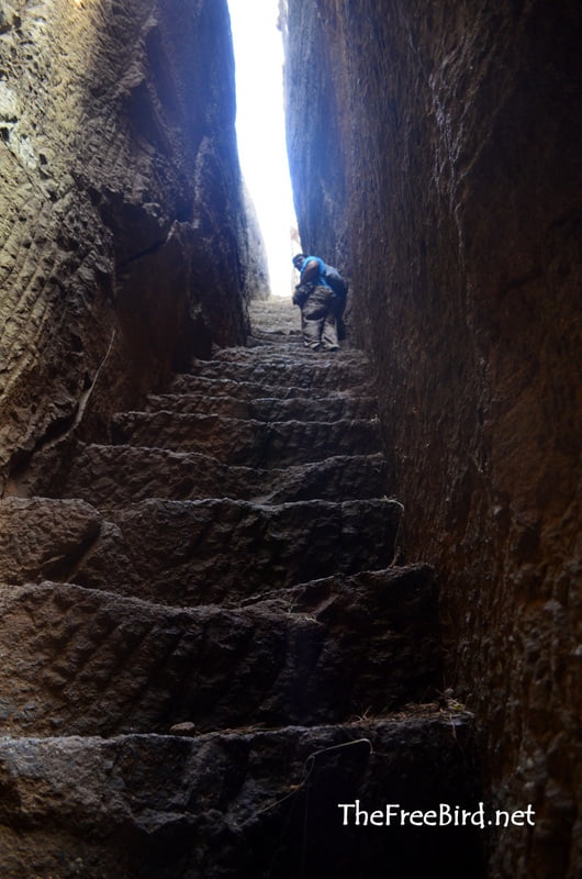 Bhandardurg trek rock cut stairs nashik