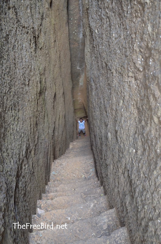 Bhandardurg trek rock cut stairs