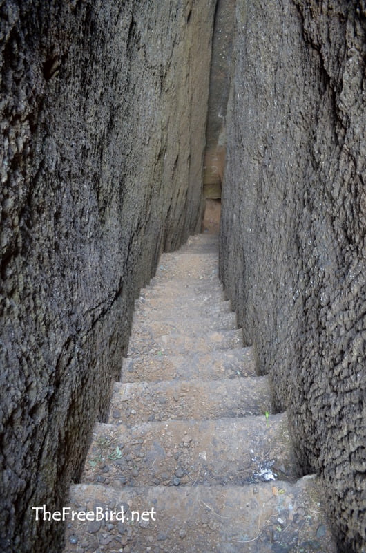 Bhandardurg trek rock cut stairs