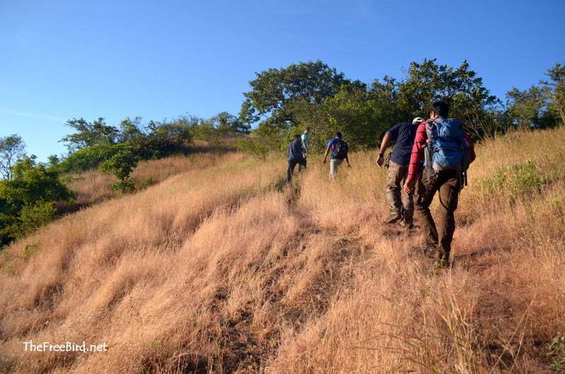 Basgad Trek