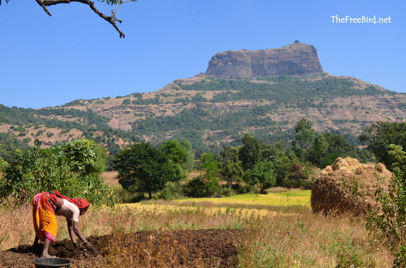 Harihar fort trek blog 