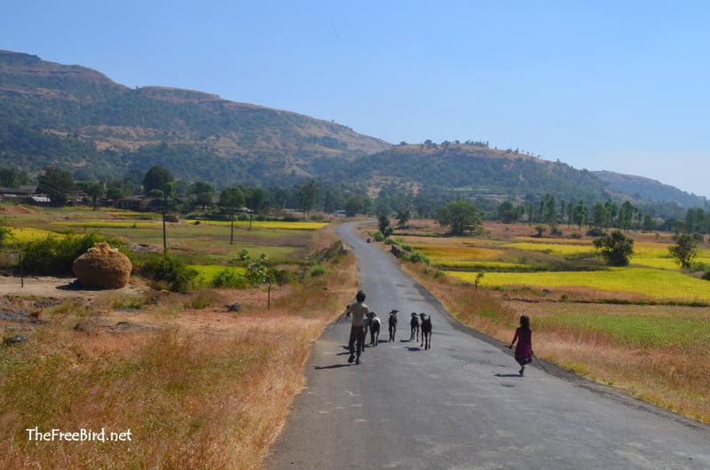 Towards Harihar fort 