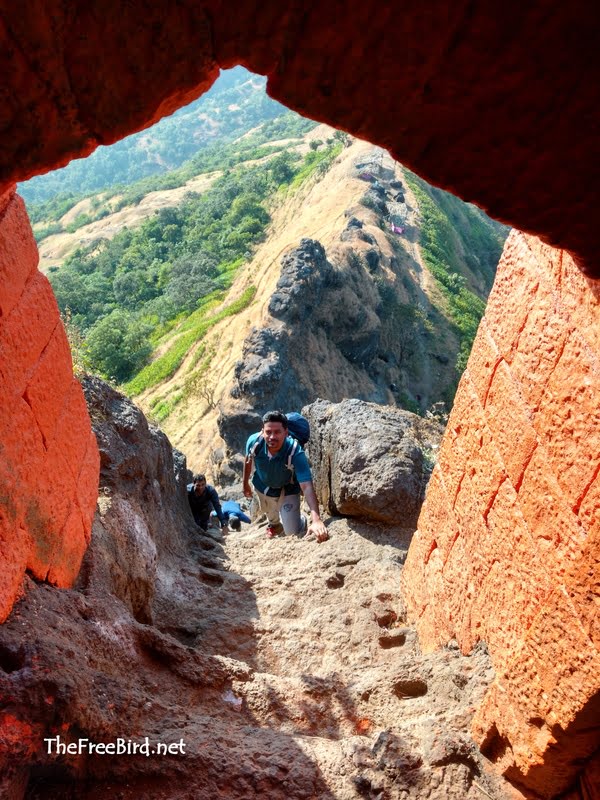 The beautiful stairs at Harihar fort trek