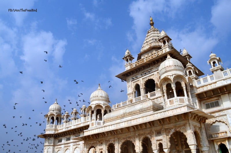 Jaswant thada, JOdhpur Rajasthan The free bird