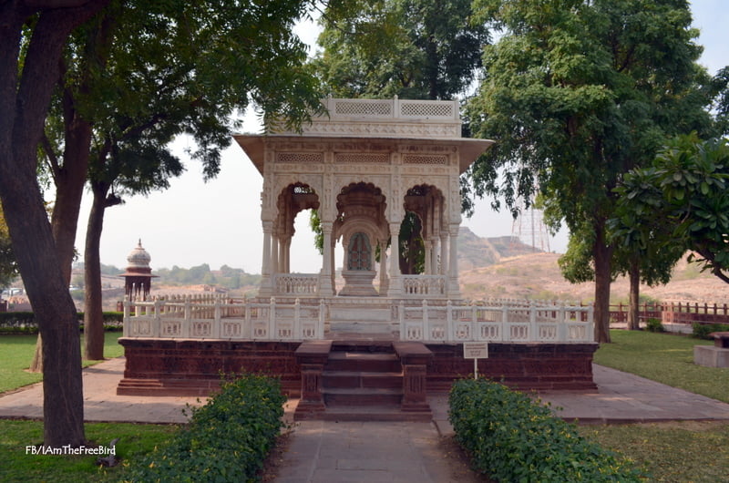 Jaswant thada, JOdhpur Rajasthan The free bird