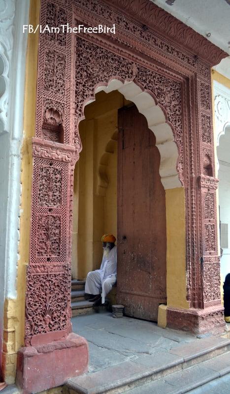 Mehrangadh Fort Jodhpur Rajasthan The Free BIrd