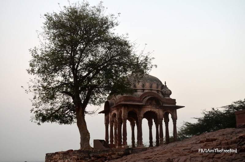 Chhatri of Kirat Singh Soda Mehrangadh Jodhpur free bird 