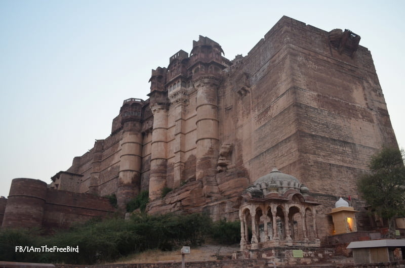 Mehrangadh Fort Jodhpur Rajasthan Free Bird