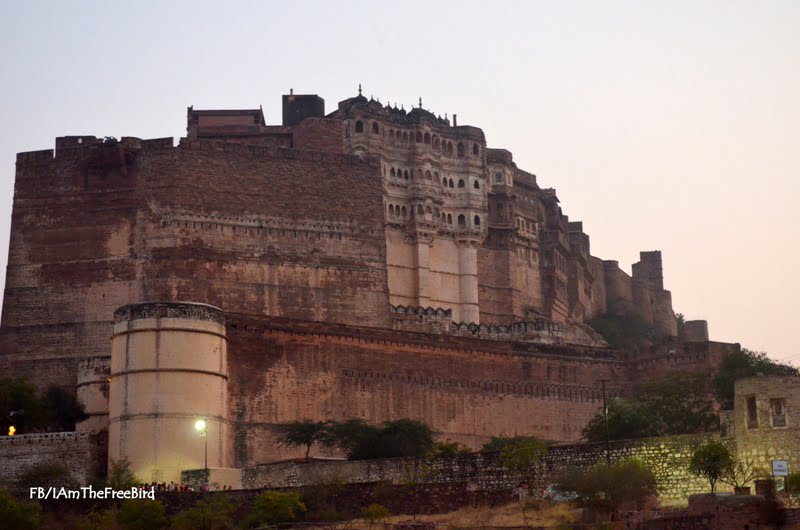 Mehrangadh Fort Jodhpur Rajasthan Free Bird