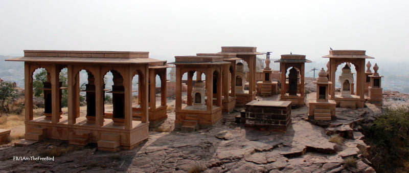 Jaswant thada, JOdhpur Rajasthan The free bird