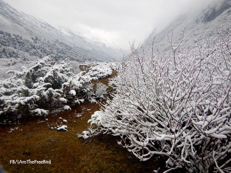 Snowfall Jeethang NIMAS BMC AMC 