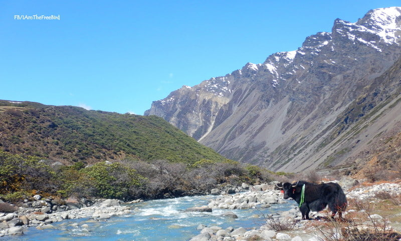 NIMAS BAsic Mountaineering course BMC AMC Meerathang 