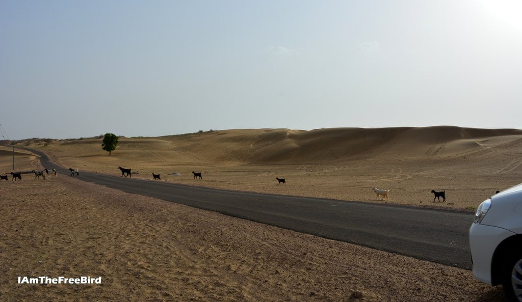 Sand Dunes at Longewala