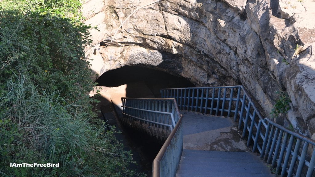Must see at Gandikota Entrance of Belum Caves