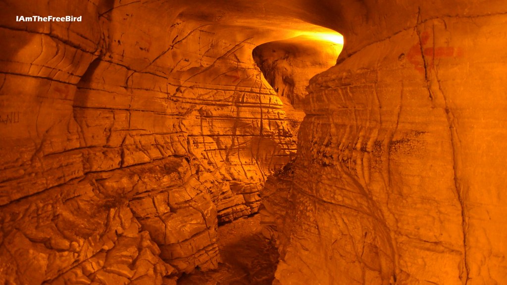 Must see at Gandikota Belum Caves Indian Antelope caves