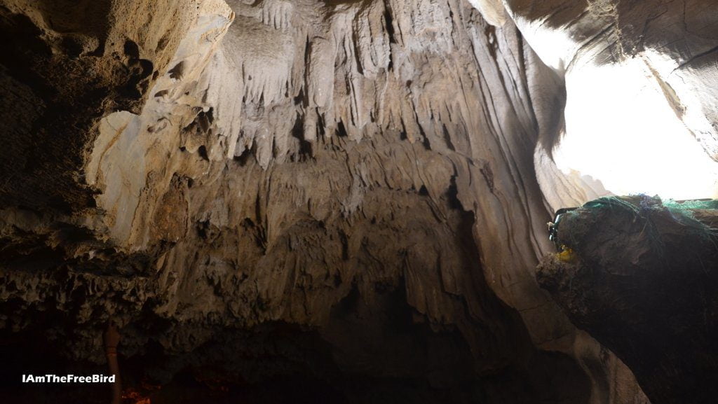 Stalactites at Belum Caves