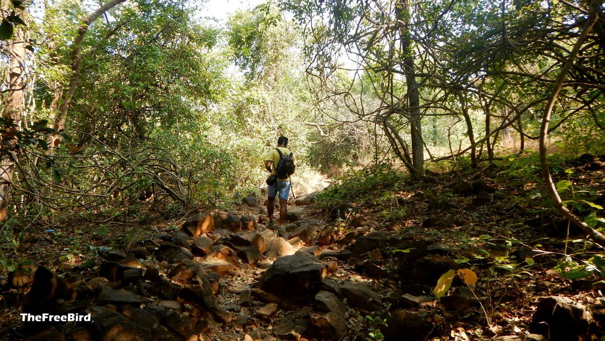 Ganesh ghat route to Bhimashankar & Padargad