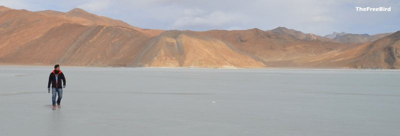 Frozen Pangong Tso in Winter