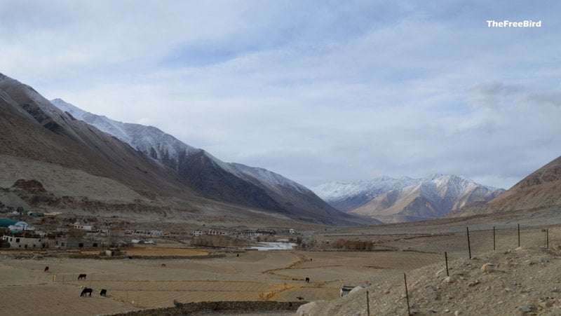 Tangtse in winter