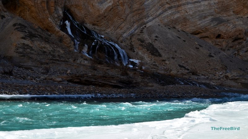 Only flowing waterfall of chadar trek