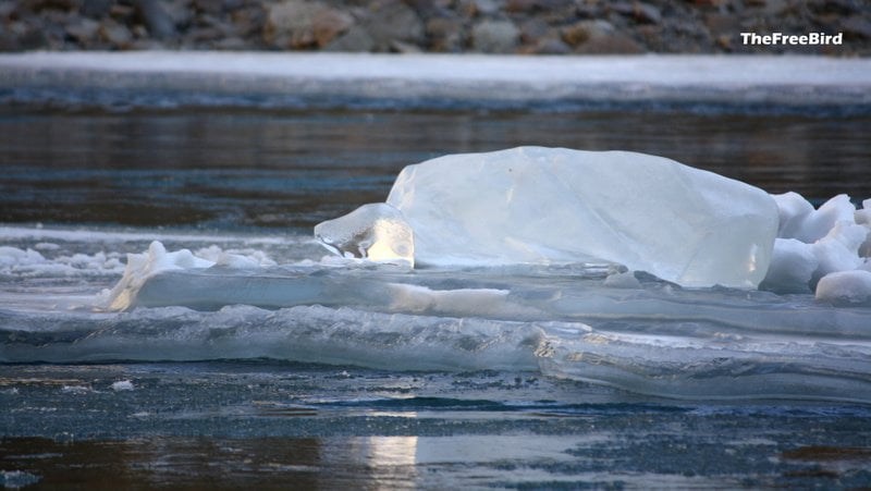 Chadar Trek ice