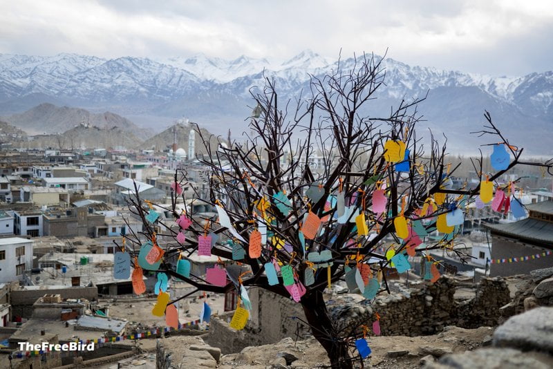 Leh in winter