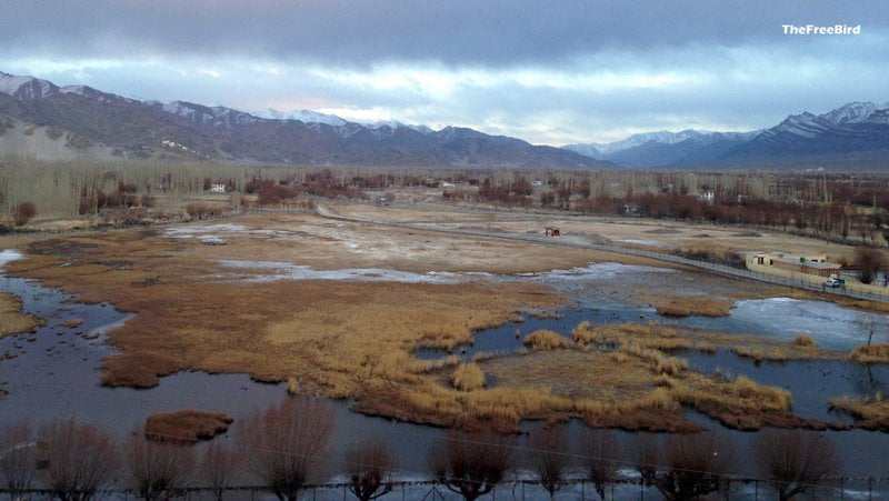 holy fish pond shey palace ladakh