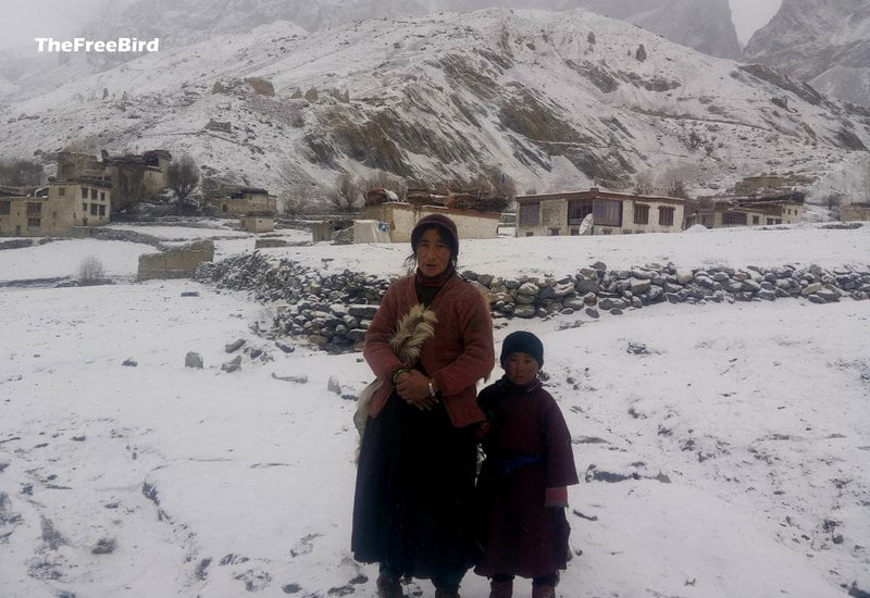 Chadar trek lingshed snowfall