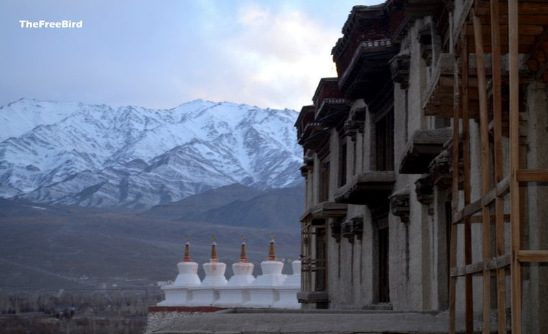 white chortens shey palace ladakh monasteries in ladakh