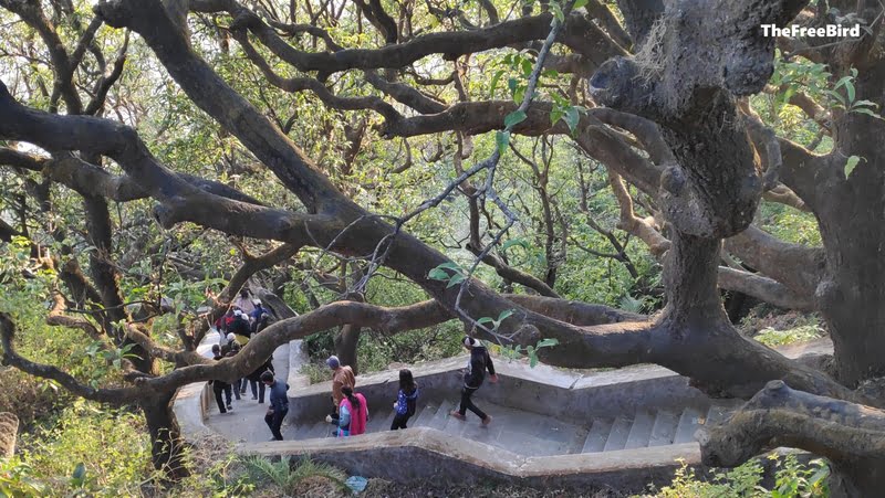 Mt abu Gaumukh Trek