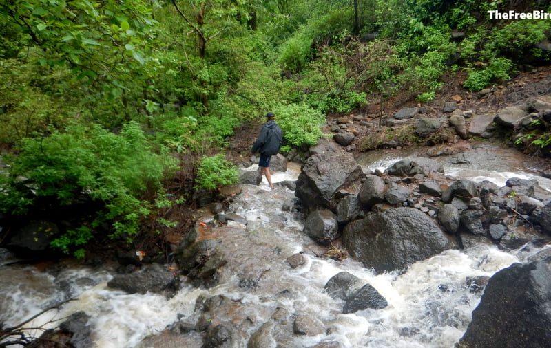 kataldhar waterfall trek blog how to reach