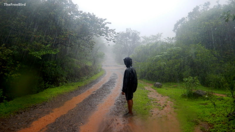 kataldhar waterfall trek on the Rajmachi route