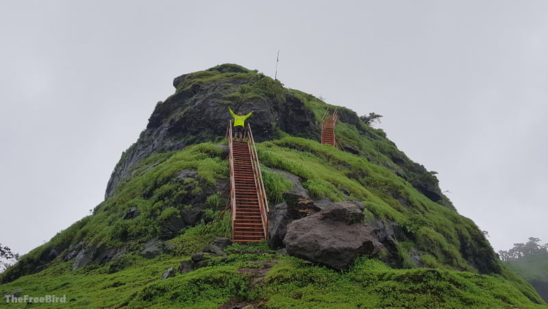 Climbing the ladders to reach the top