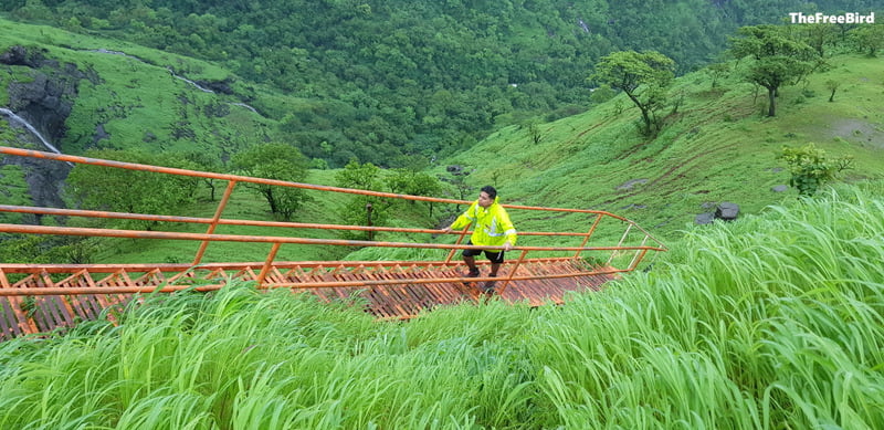 TheFreeBird climbing ladder at Sondai