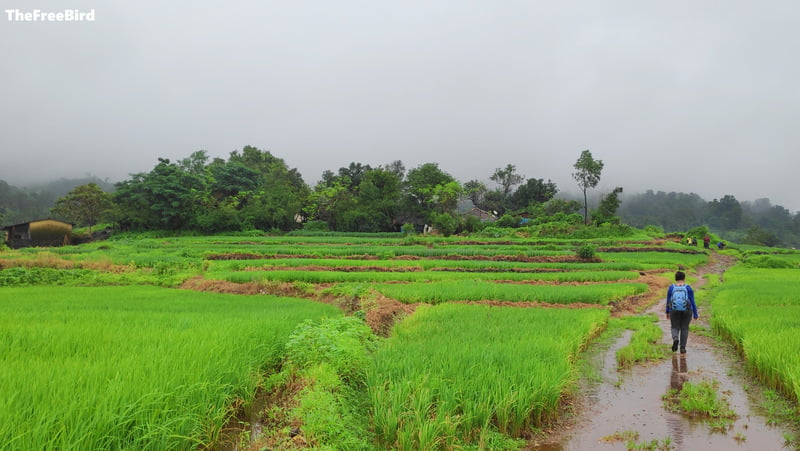 Reaching Dhanwadi