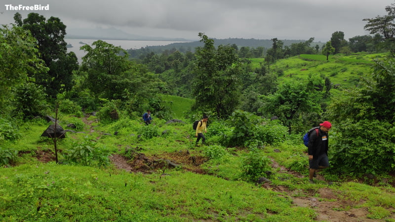 Just after Dhanwadi